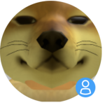 The King of doge’s
