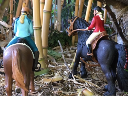 Golden Horse riding stable