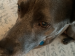 Addie#