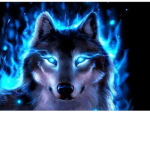 Cat club wolf19705