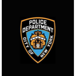 NYPD traffic game