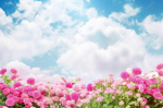Cloudy’s Fair Community