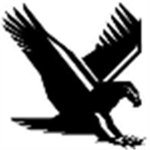 [TDF]The Dark Falcons