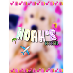 NoahsXApparel
