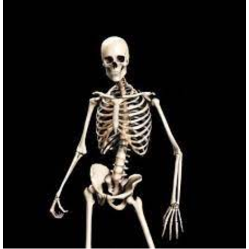 Compa y Furioso (+10000000 de aura)