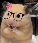 Abc egg hi hi