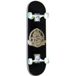 Pro Skateboaders