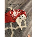 Alabamamandog