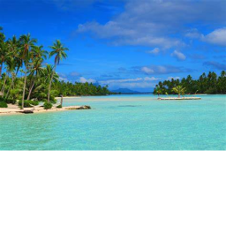 tropical island