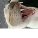 Asᴛᴇᴛʜɪᴄ ᴄʟᴏᴜᴅ