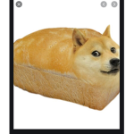 Doge and whiskers.