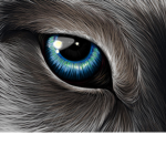 wolfie official FAN GROUP!