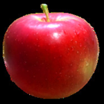 APPLE SQUAD :D