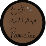 Cat Paradise Official