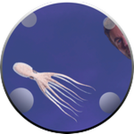 Deeper 0, The Beginning of The Deep