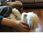 Puppy puppy time