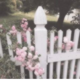 ʚ♡ɞ