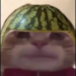 The Watermelon Kitty Army