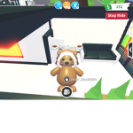 Bear Team Forever!