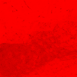 flesh