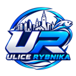 Ulice Rybnika