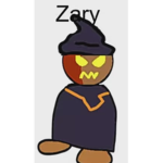 Z-A-R-D-Y group