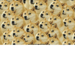 Da coolest doges
