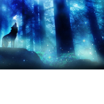 Forest Wolfs