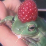 froggy squad ._.