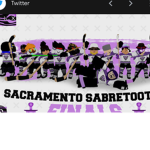 Knee hockey league