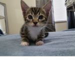Gurlllll you cute