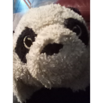 Pengas
