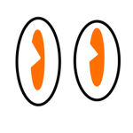 OrangeSpiders Fan Group!