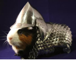 Gay Rat Cult