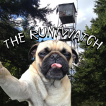 the runtwatch