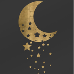 Lunar Warriors Cats