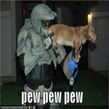 funny-pictures-halo-dog-pew Roblox decal
