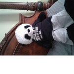 Babycombopanda6