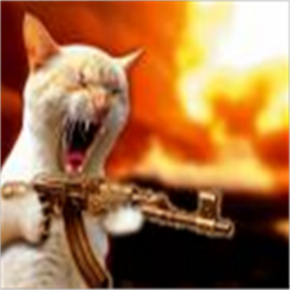 Cat Roblox decal