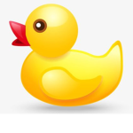 Definition Of The Duck