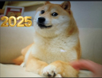 I love doge doge is the best