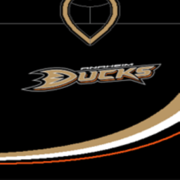 Anaheim Ducks's Training Facility