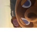 The Tom nook fan group