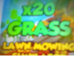 X20 grass ms