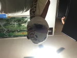 Snake puppet