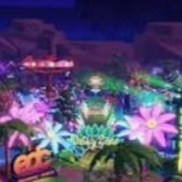go to a carnival