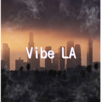 Vibe LA.