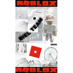 Biel Team