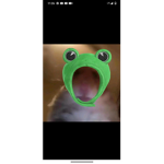 wow a hamster