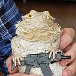 Reptiles RULERS